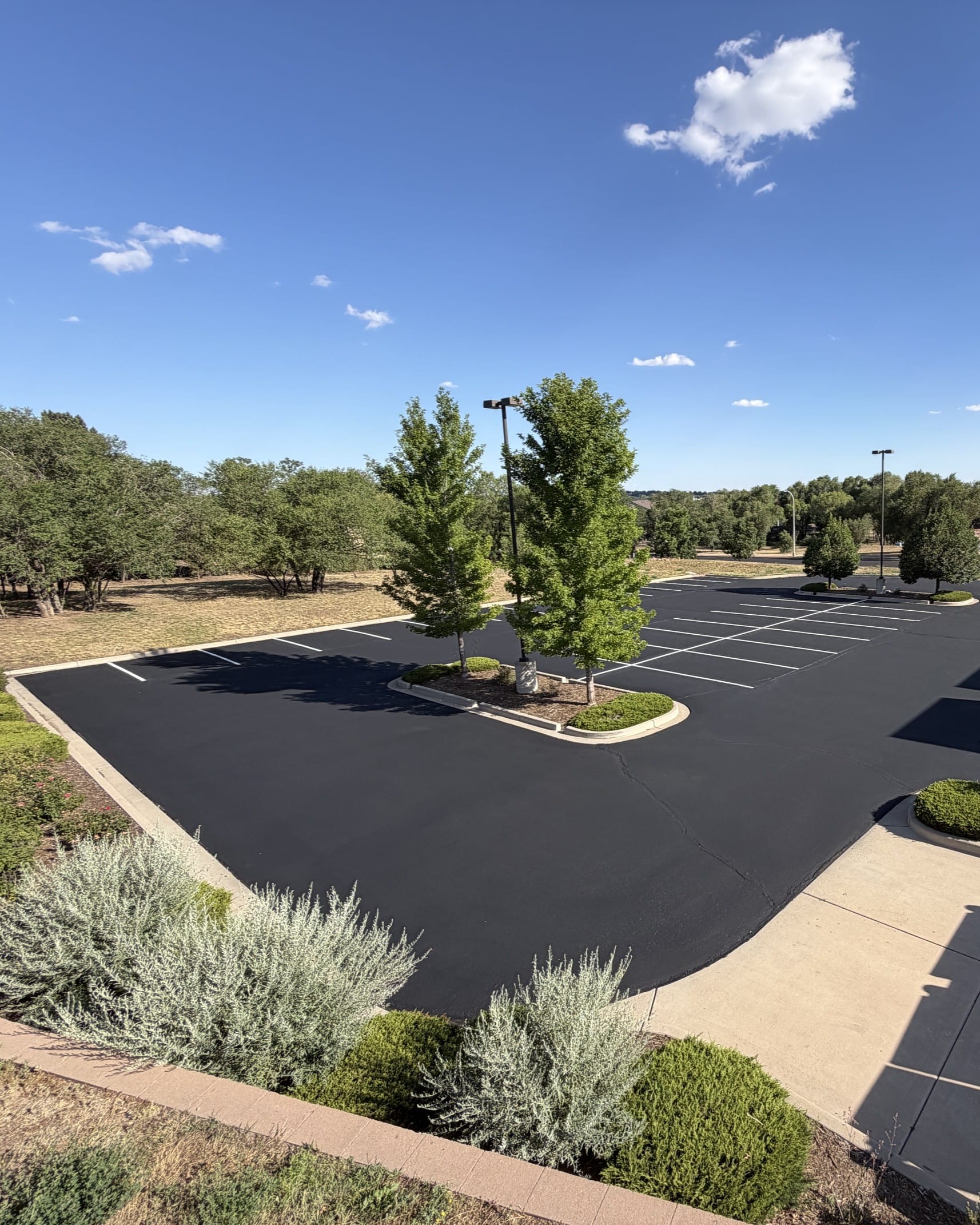 Sealed and striped parking lot